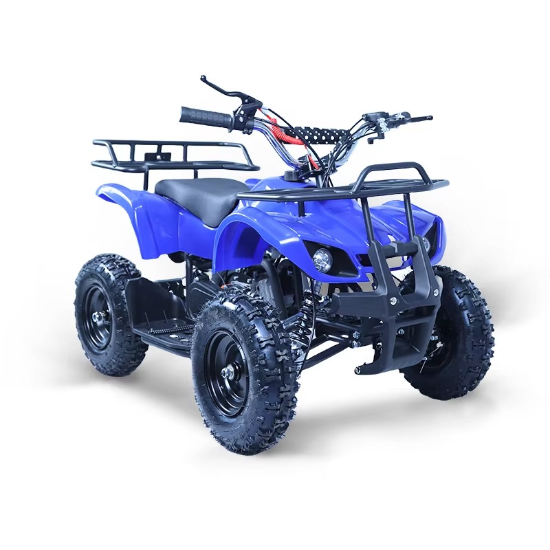 49cc Mini ATV Kids Quad Bike 2 - огляд і ціна Kids Outdoor Quad