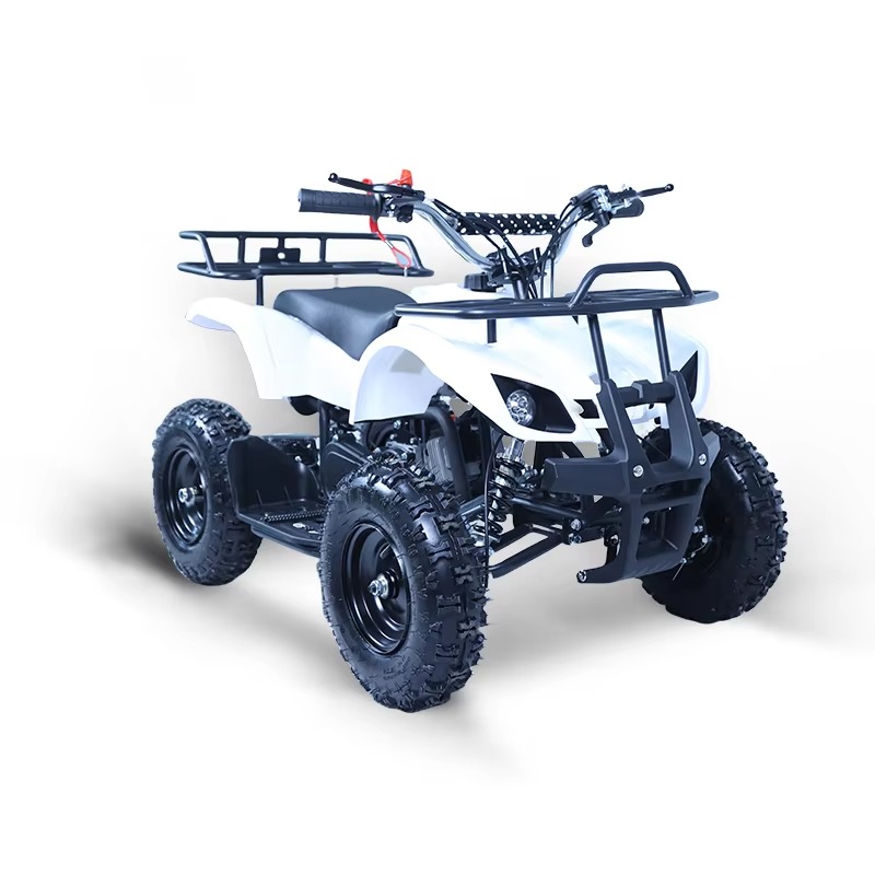 49cc Mini ATV Kids Quad Bike 2 - огляд і ціна Kids Outdoor Quad