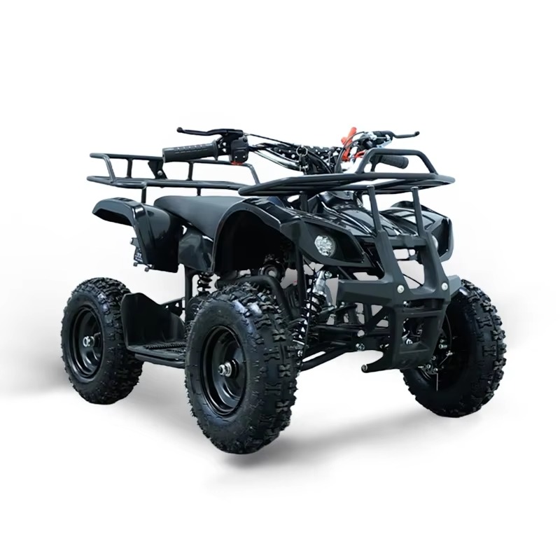 49cc Mini ATV Kids Quad Bike 2 - огляд і ціна Kids Outdoor Quad